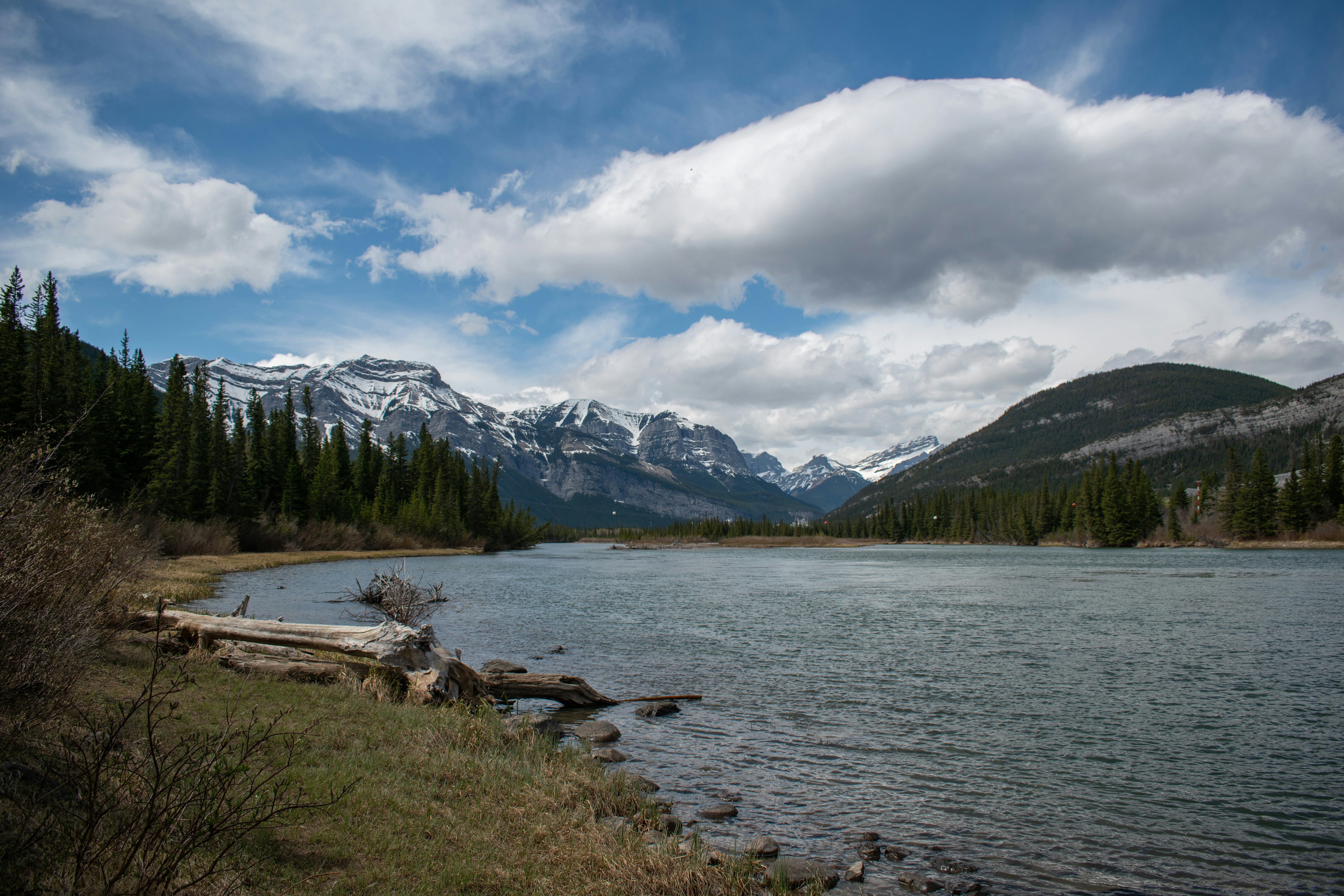 Canadian Rockies, Kananaskis, AB, Canada