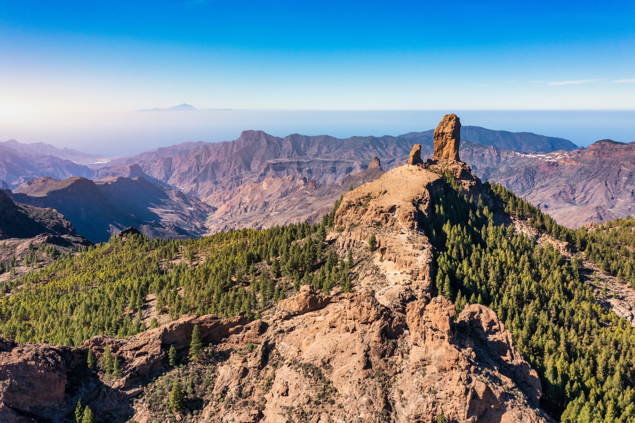 Roque Nublo Rural Park