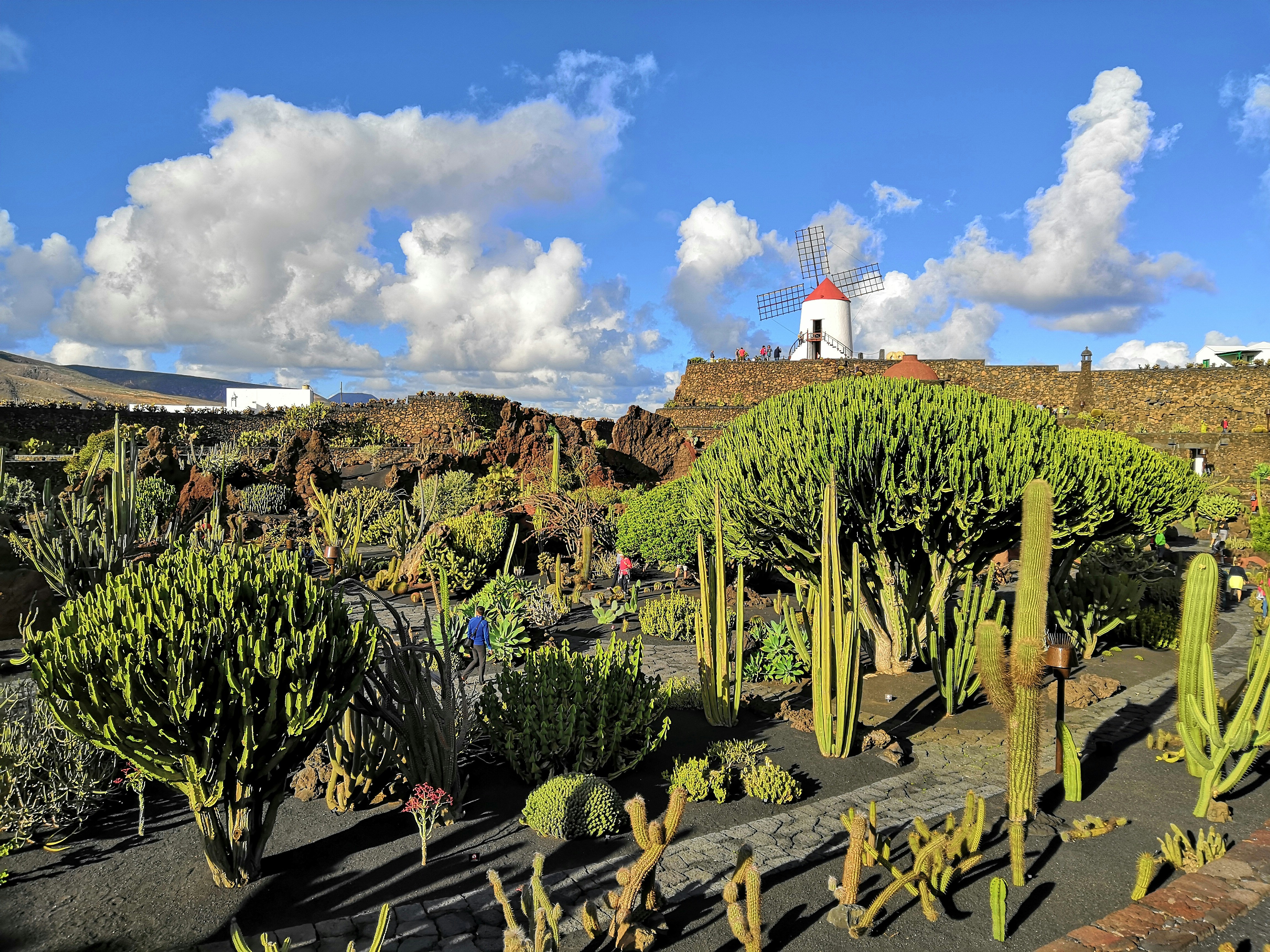 Lanzarote