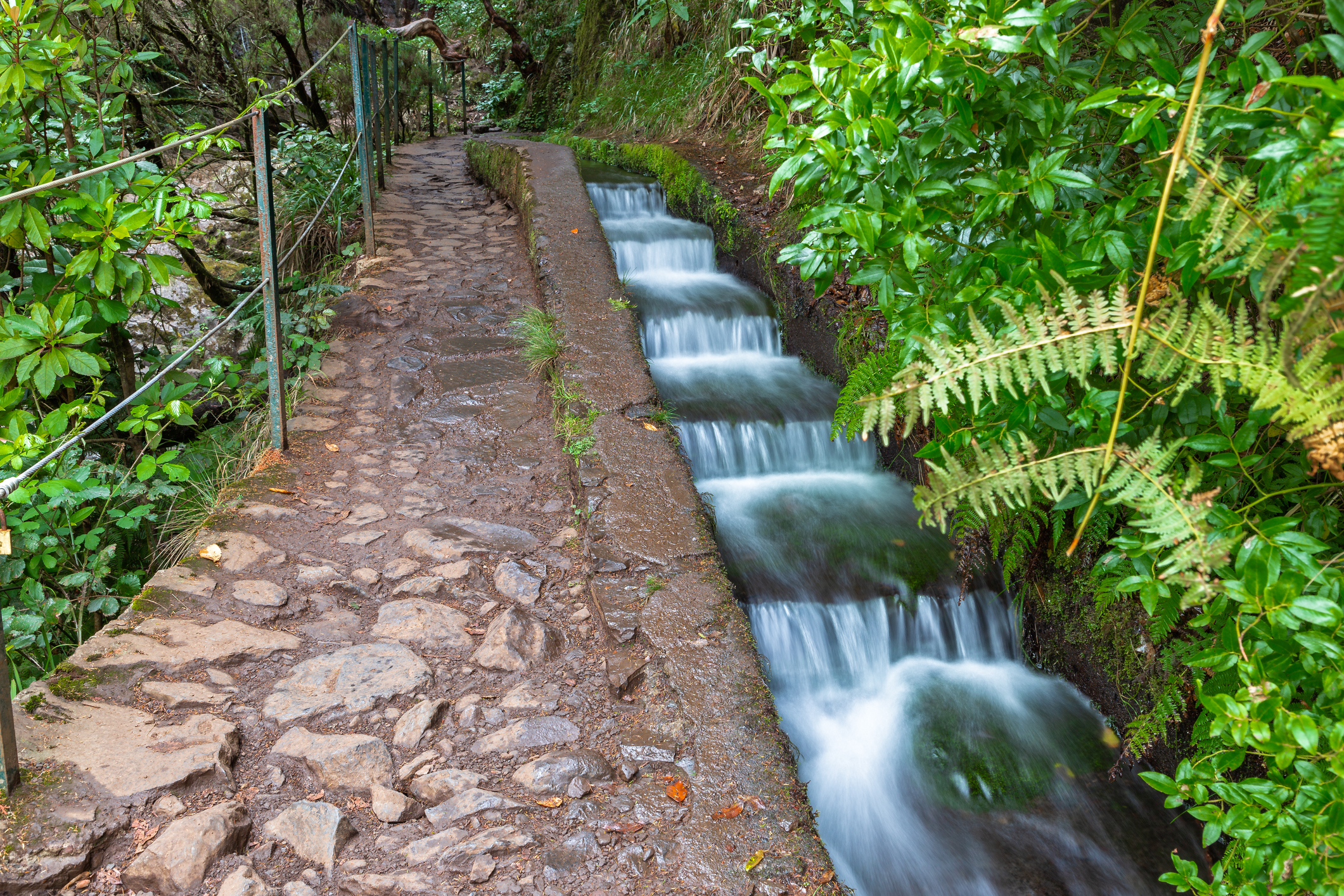 Levada wandelroute
