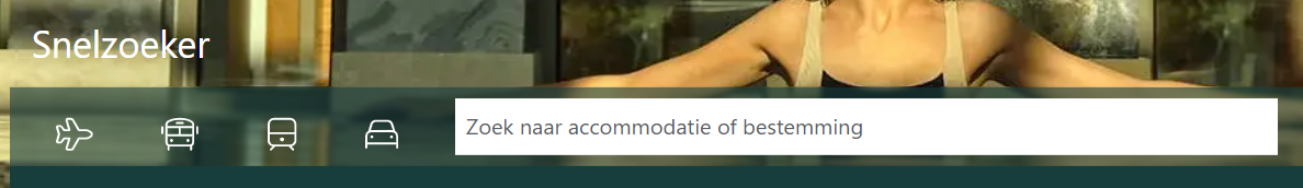 Homepage van Travelizi website