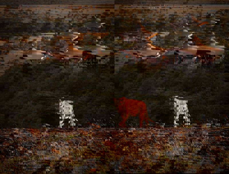 Mahali Mzuri by Travelizi