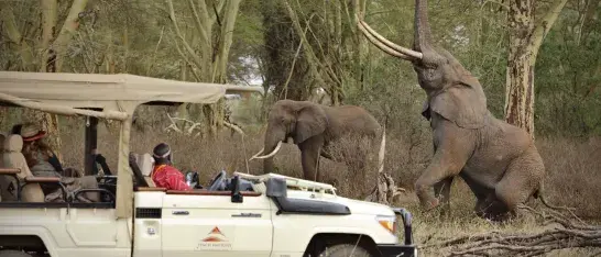 privé-eilanden,bergretraite,wildreservaat,safarilodge,tentenkamp,wijngaard,skihut, luxe villa's, finca 