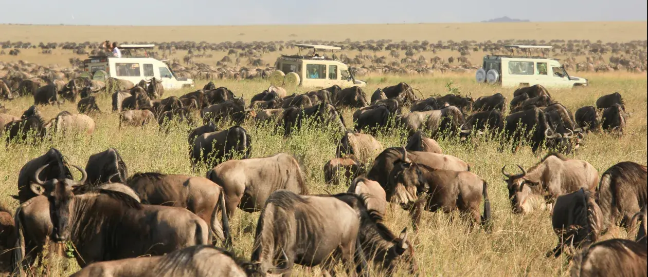 Tanzania verplicht lokale reisverzekering Tanzaniaverlicht lokale reisverzekering